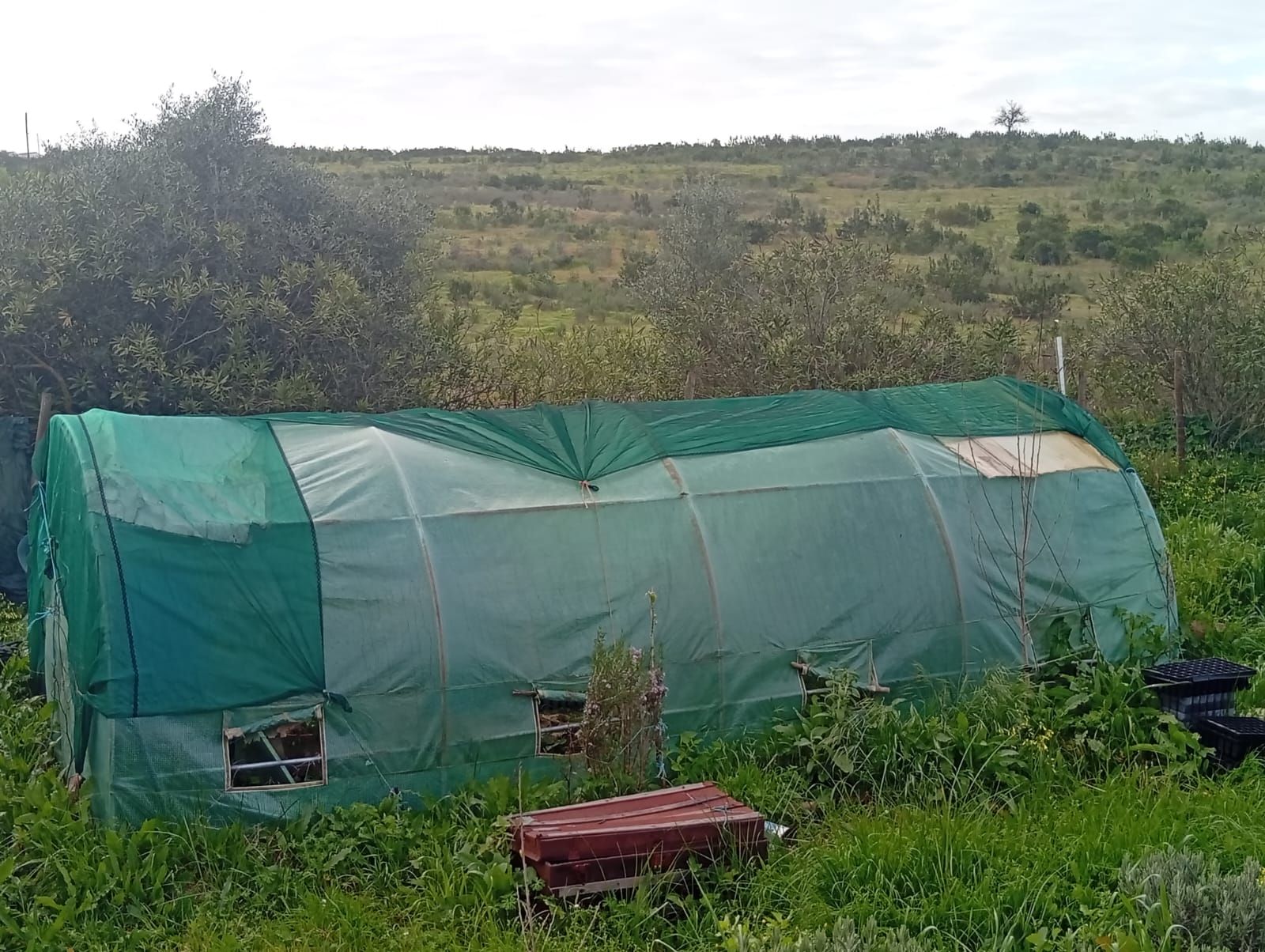 Estufa e energia solar no inverno — sistema off-grid