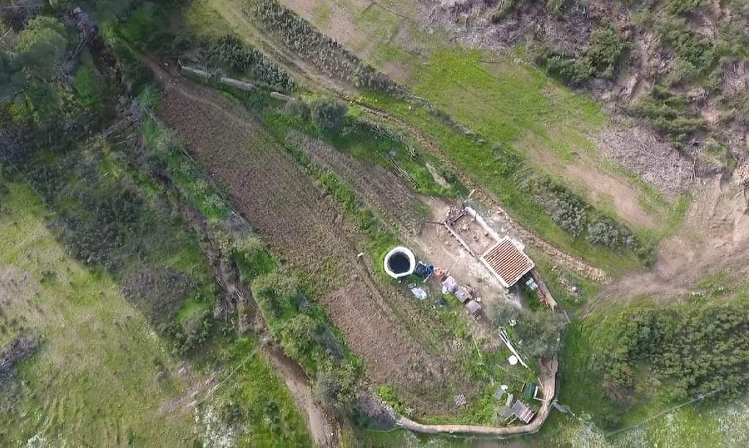 Vista aérea da agrofloresta sintrópica Wild Alentejo em Mértola